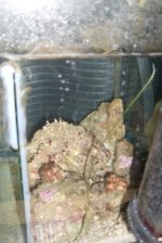 sump4.jpg
