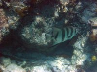 IMG_0270.JPG