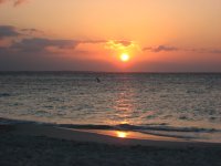 IMG_0383.JPG