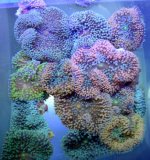 DSC00517.JPG