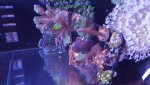 20180307_194435.jpg