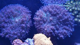 20180307_194357.jpg