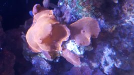 20180302_191655.jpg