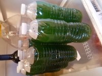 20170220_104901.jpg