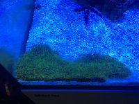 IMG_1151.jpg