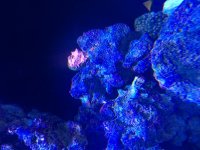 IMG_4231 2.jpg