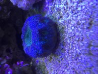 IMG_6131.jpg