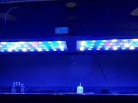 20161217_202821.jpg