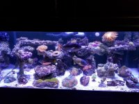 20161217_202839.jpg