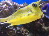 IMG_3767.jpg