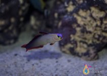 IMG_0987.jpg
