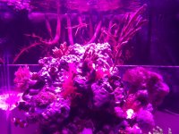 IMG_6277.JPG
