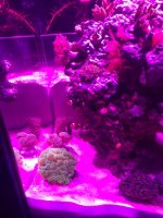 IMG_6278.JPG