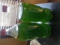 20170306_140850.jpg