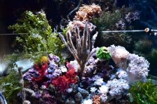 IMG_6303.JPG