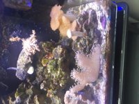 20180118_133608.jpg