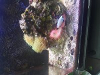 20180118_133611.jpg