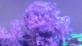 20171019_150646.jpg