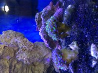 2017-01-18_18-35-50_114.jpg