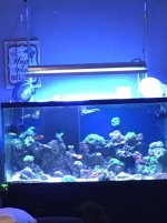 IMG_0126.jpg