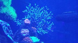 20171026_152708.jpg