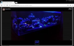 Screenshot_20170804-194646.jpg