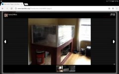 Screenshot_20170804-194345.jpg
