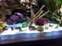 Display Aug 5.jpg