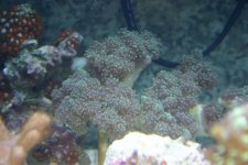 5-16-06 021.jpg