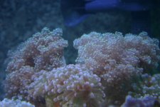5-16-06 026.jpg