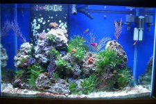 newtank0.jpg