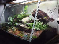 vivarium 007.jpg