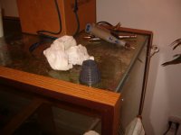 Picture 009.jpg