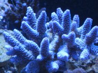 IMG_1124.jpg