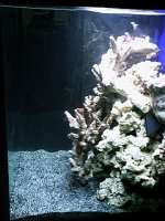 tank5.jpg