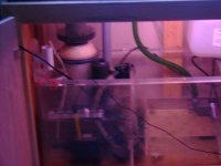 leo's tank for sale 015.jpg