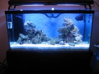 90Gallon Conversion1208.jpg