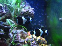 IMG_0542.jpg