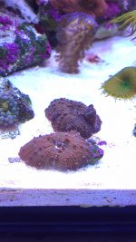 IMG_2905.jpg