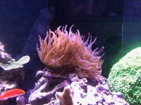 IMG_2041.jpg