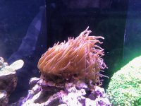 IMG_2043.jpg