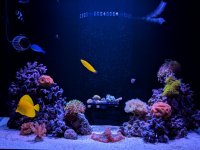 MVIMG_20180313_211837.jpg