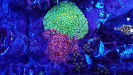 20181209_094231.jpg