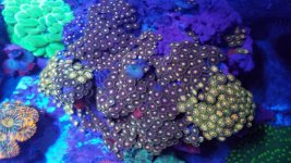 20181209_093945.jpg