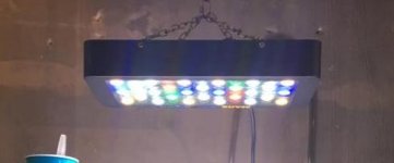 LED Light -.jpg