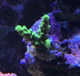 5624D6DF-62F9-4B10-8D8C-B9C7701A8FD7.jpg