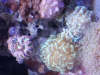 20190720_185351.jpg