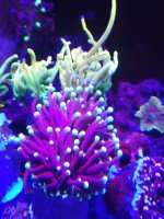 IMG_20190721_195735.jpg