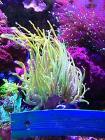 2019-07-09_12.26.27.jpg