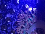 E6001E23-A3D2-4641-9FC1-FC4DF503C1EA.jpg
